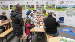 Schon wieder verrückte Hühner