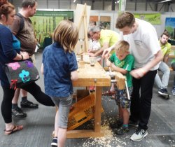 Wo geschnitzt wird, fallen Späne