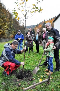 Ein Apfelbaum in Geraberg
