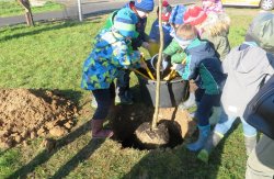 Na klar, nun muss die Erde rein!